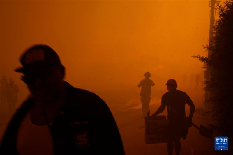 Incêndios florestais no centro do Chile causam morte de 99 pessoas
