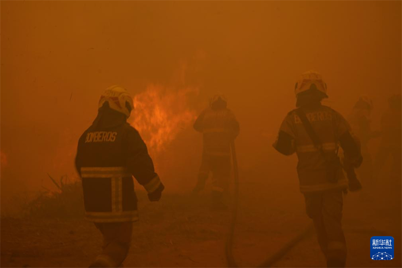 Incêndios florestais no centro do Chile causam morte de 99 pessoas