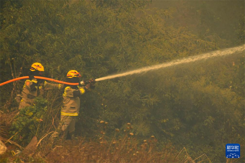 Incêndios florestais no centro do Chile causam morte de 99 pessoas