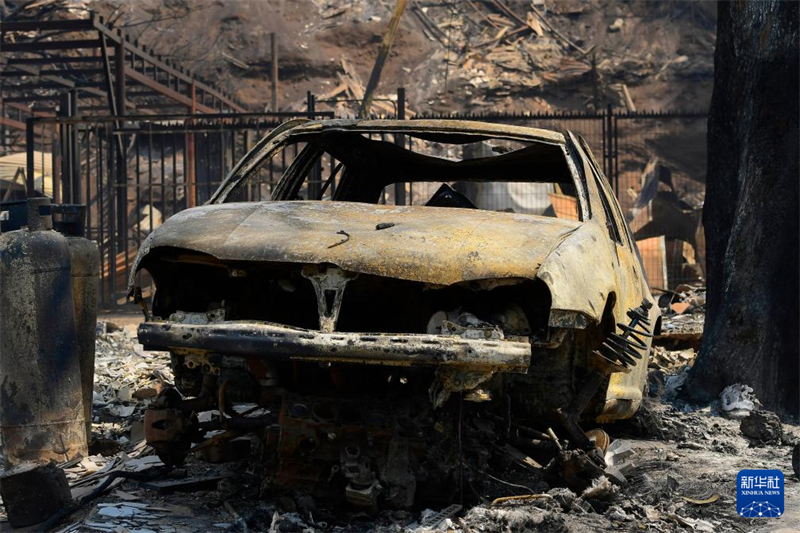 Incêndios florestais no centro do Chile causam morte de 99 pessoas