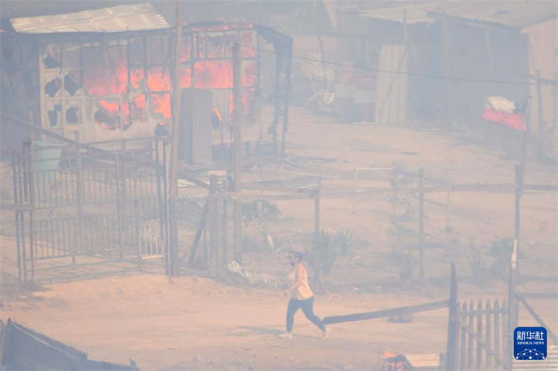 Incêndios florestais no centro do Chile causam morte de 99 pessoas