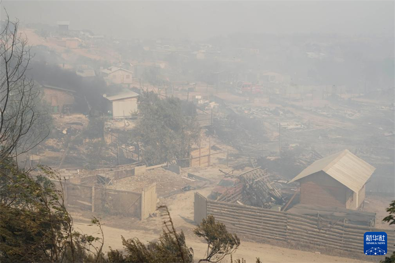 Incêndios florestais no centro do Chile causam morte de 99 pessoas