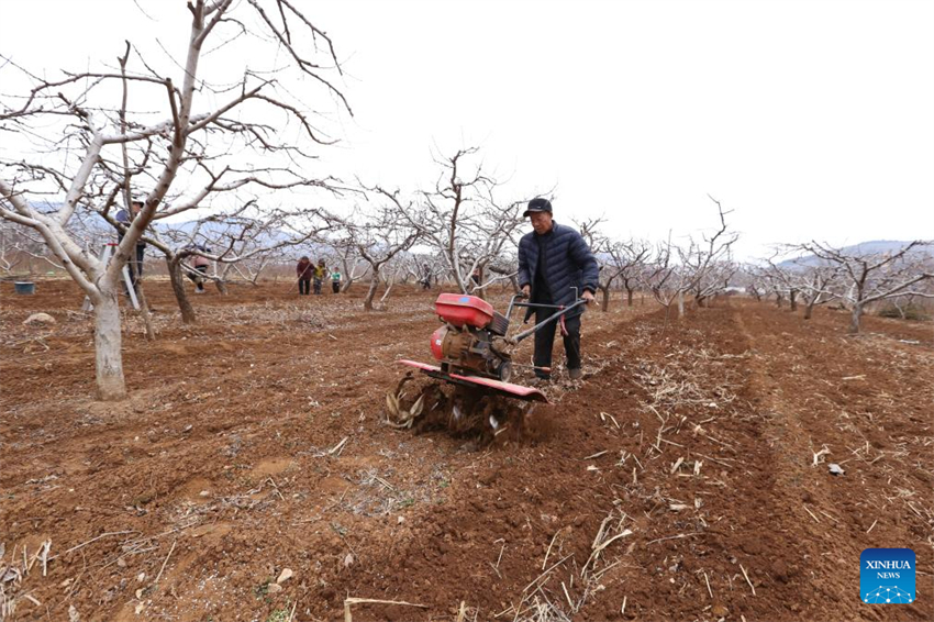 Agricultores de toda a China atarefados em período fértil do calendário lunar