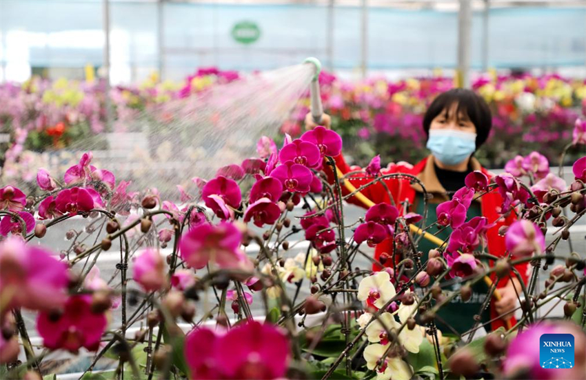 Agricultores de toda a China atarefados em período fértil do calendário lunar