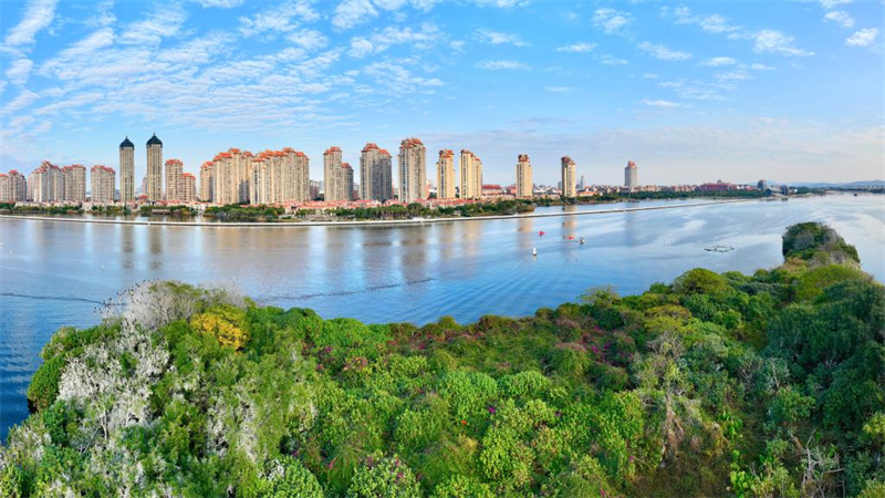 Galeria: espaço urbano e rural coexistem em harmonia na cidade costeira da China, Xiamen