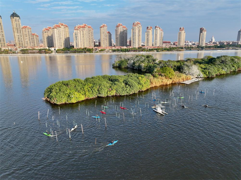 Galeria: espaço urbano e rural coexistem em harmonia na cidade costeira da China, Xiamen