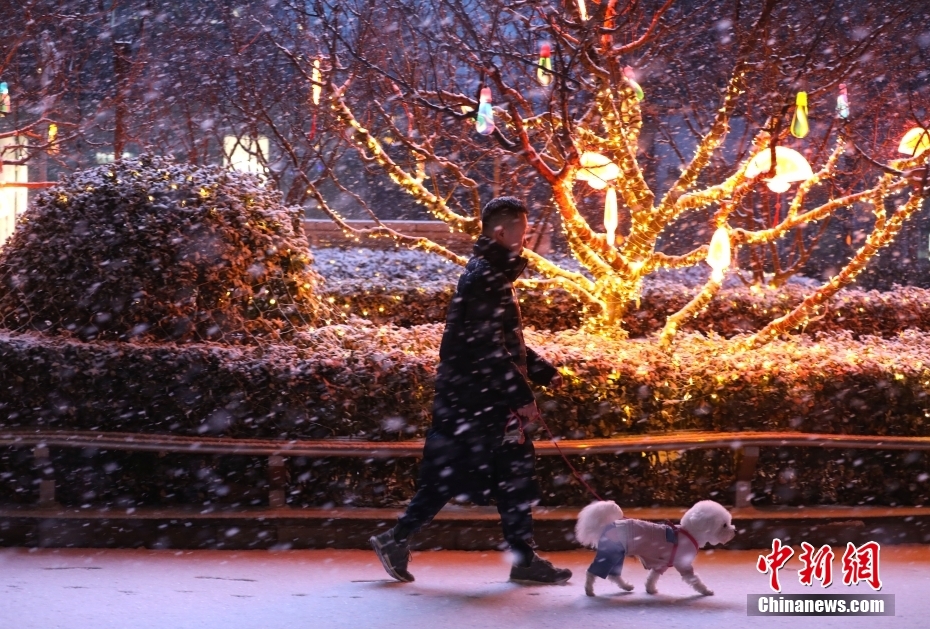 Beijing recebe primeira queda de neve do Ano do Dragão