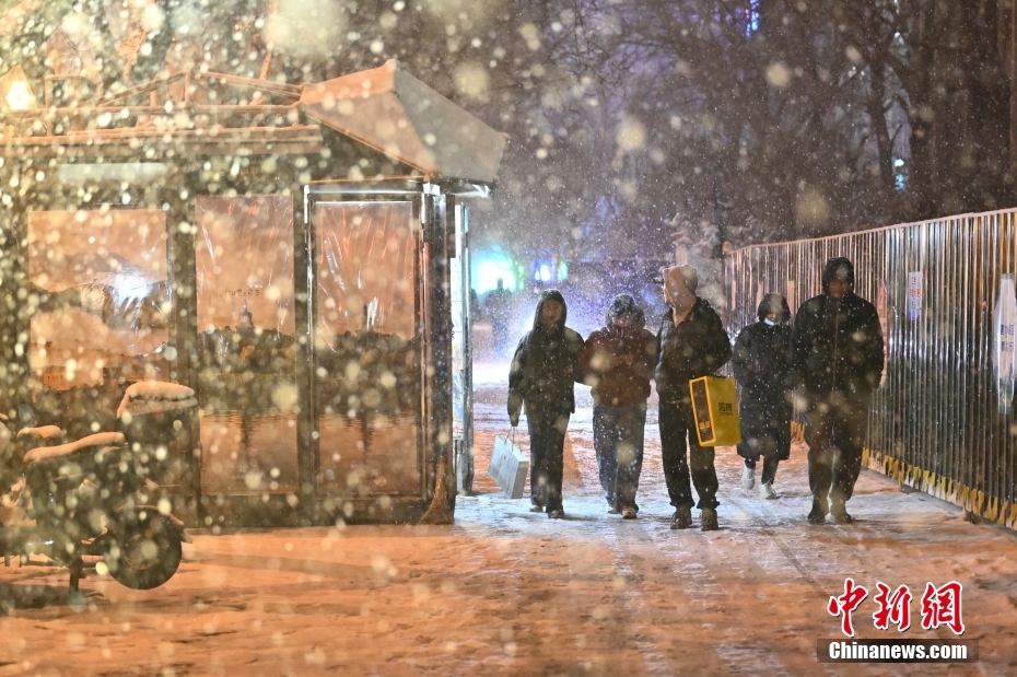 Beijing recebe primeira queda de neve do Ano do Dragão