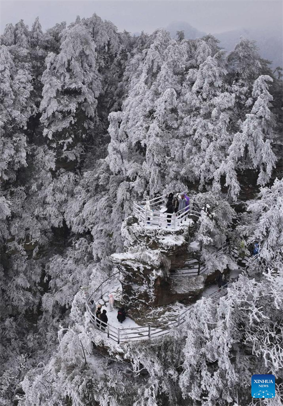 Galeria: Parque Florestal Nacional de Zhangjiajie coberto de neve