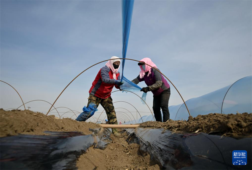 Galeria: agricultores de Hebei atarefados com época de semeadura da primavera