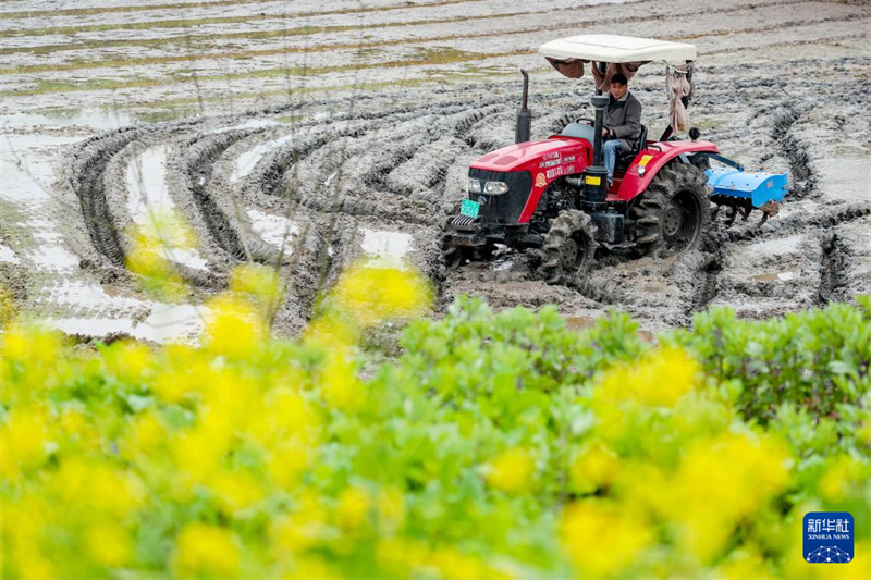 Agricultores trabalham arduamente durante o termo solar “Jing Zhe”