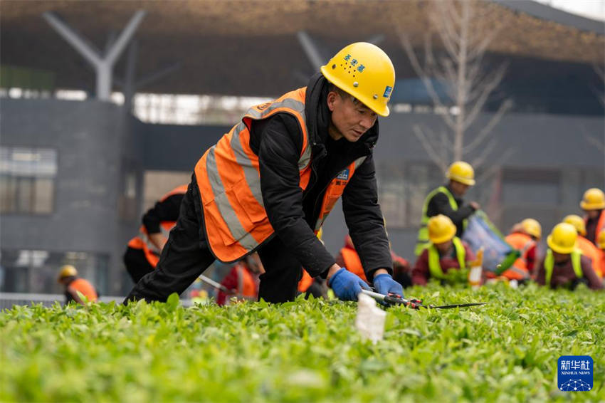 Local da Exposição Internacional de Horticultura 2024 de Chengdu  iniciará operações experimentais