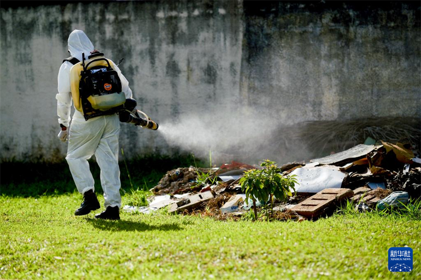 Brasil recorre a inseticida para combater a dengue