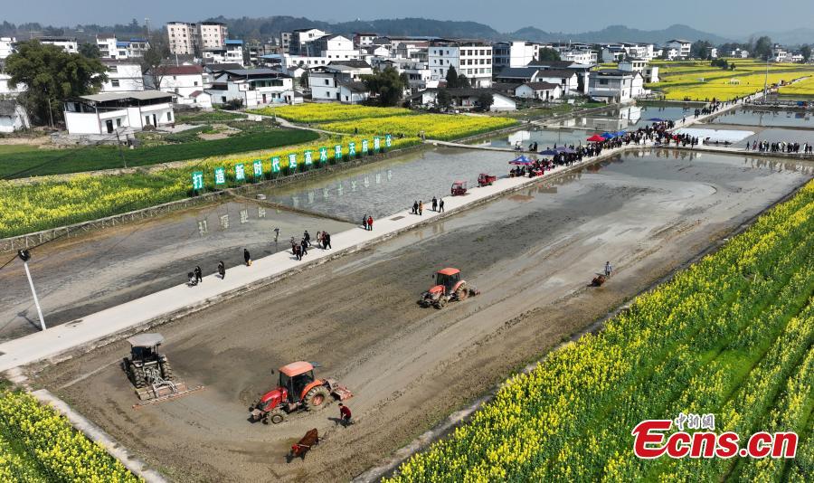 Temporada de lavra da primavera começa no sudoeste da China