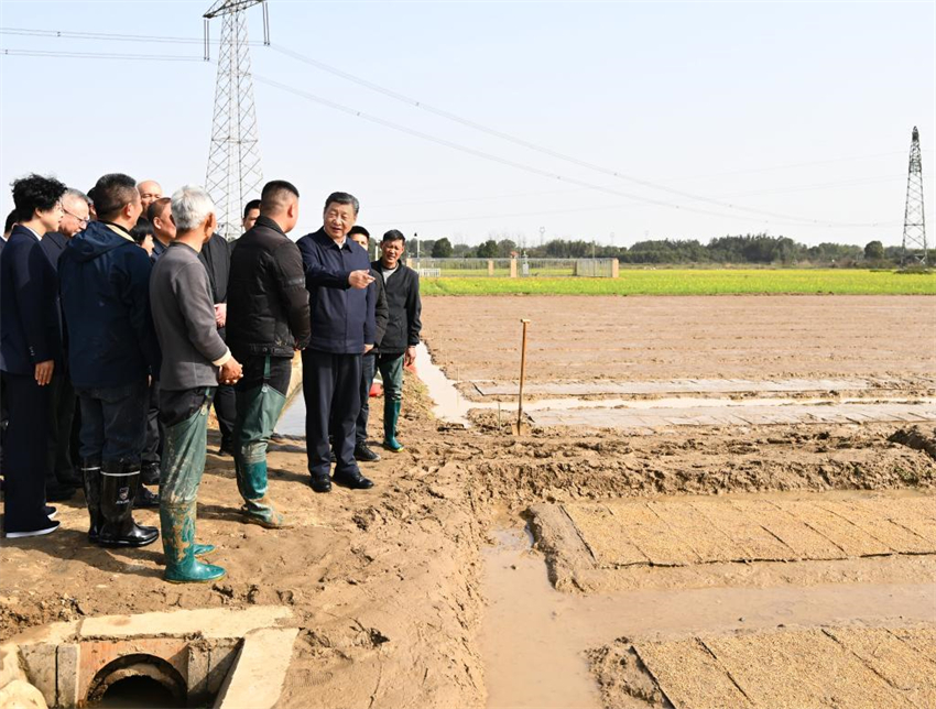 Xi Jinping inspeciona trabalho de agricultura da primavera