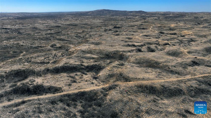 Pessoas lutam contra a desertificação em Ningxia, noroeste da China