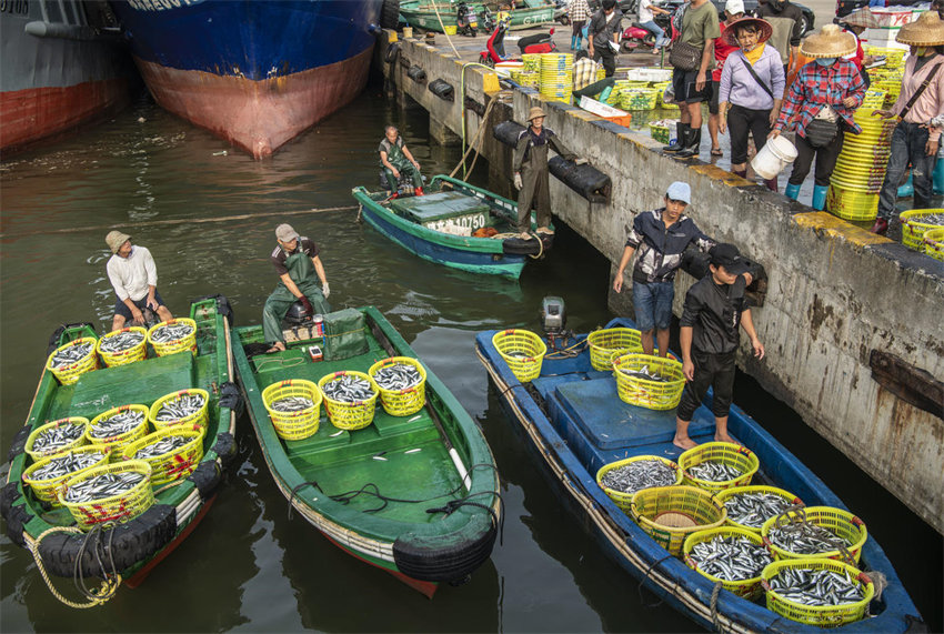 Hainan: pescadores de Qionghai iniciam temporada de pescas