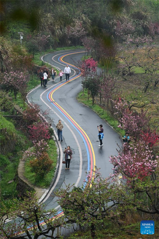 Galeria: Flores florescem em toda a China na primavera