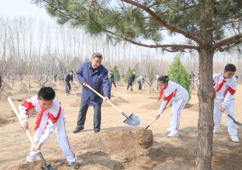 Xi Jinping planta árvores em Beijing e pede esforços de arborização em todo o país para uma Bela China