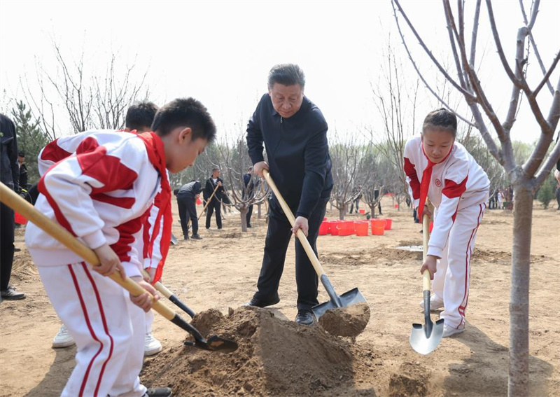 Xi Jinping planta árvores em Beijing e pede esforços de arborização em todo o país para uma Bela China
