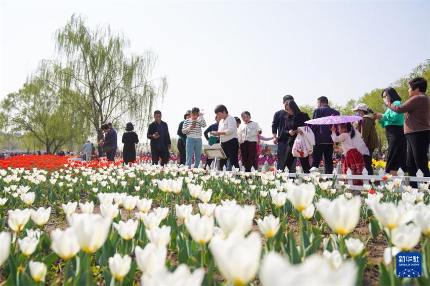 Chineses aproveitam período de lazer durante Festival Qingming
