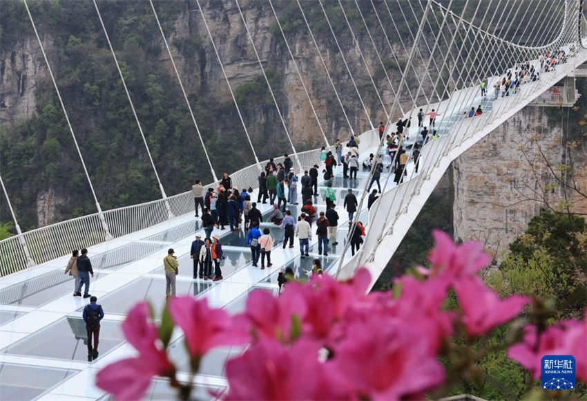 Chineses aproveitam período de lazer durante Festival Qingming