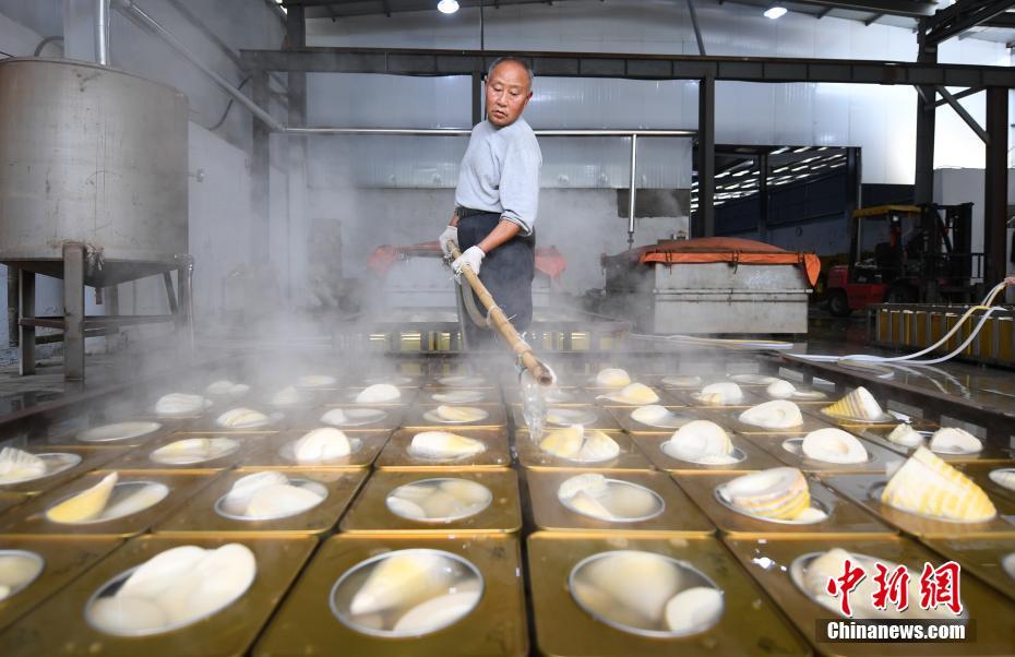 Brotos de bambu de Zhejiang exportados para exterior