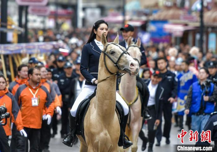 "Cavalo de ferghana" faz estreia no Grande Bazar Internacional de Xinjiang