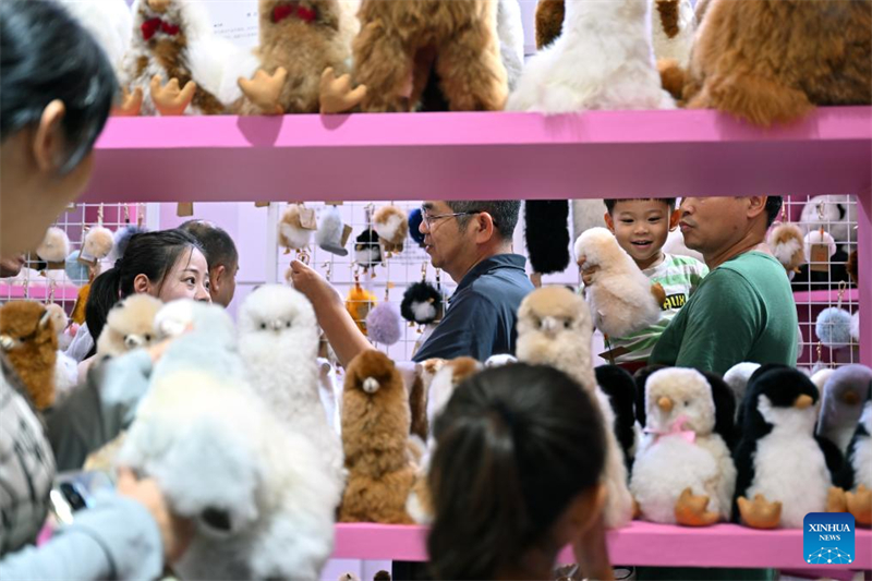 4ª Exposição Internacional de Produtos de Consumo da China termina em Hainan