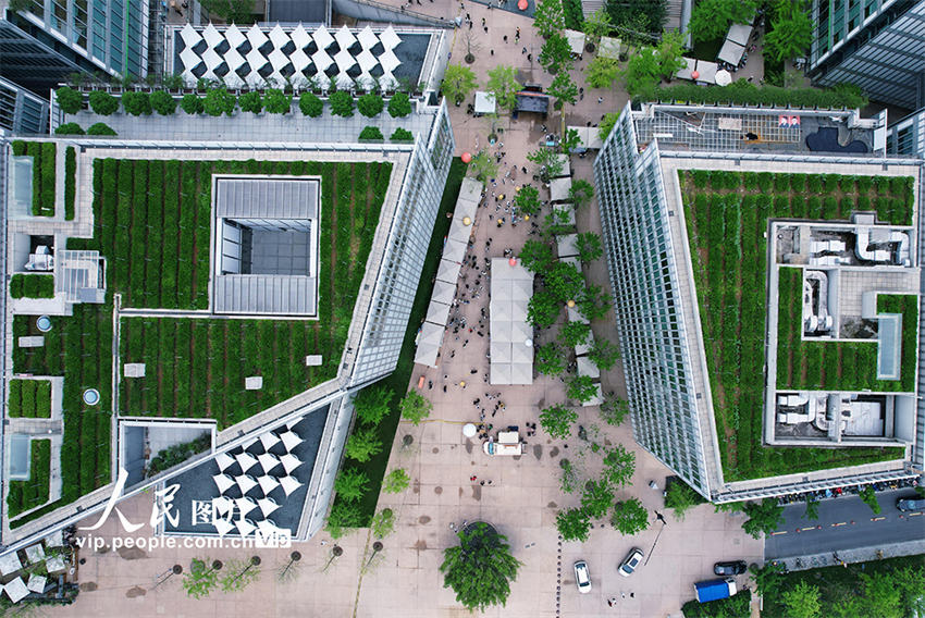 Galeria: jardins de chá nos telhados de edifícios atrai visitantes em Hangzhou