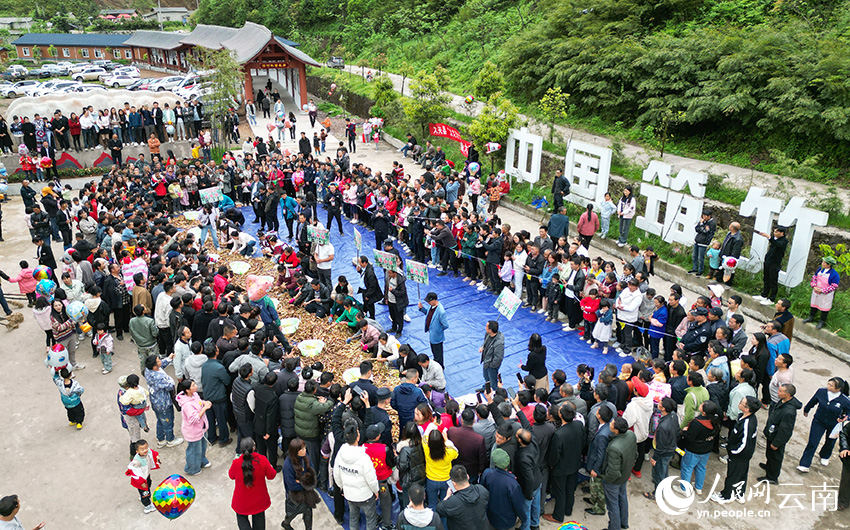 Competição de descascamento de brotos de bambu celebra a colheita em Yunnan