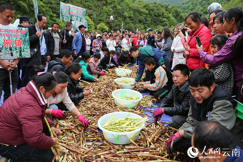 Competição de descascamento de brotos de bambu celebra a colheita em Yunnan