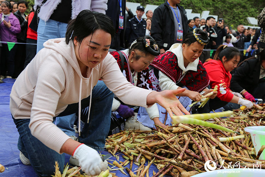 Competição de descascamento de brotos de bambu celebra a colheita em Yunnan