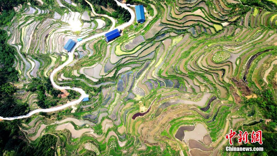 Galeria: terraços nas montanhas criam paisagem única em Guangxi