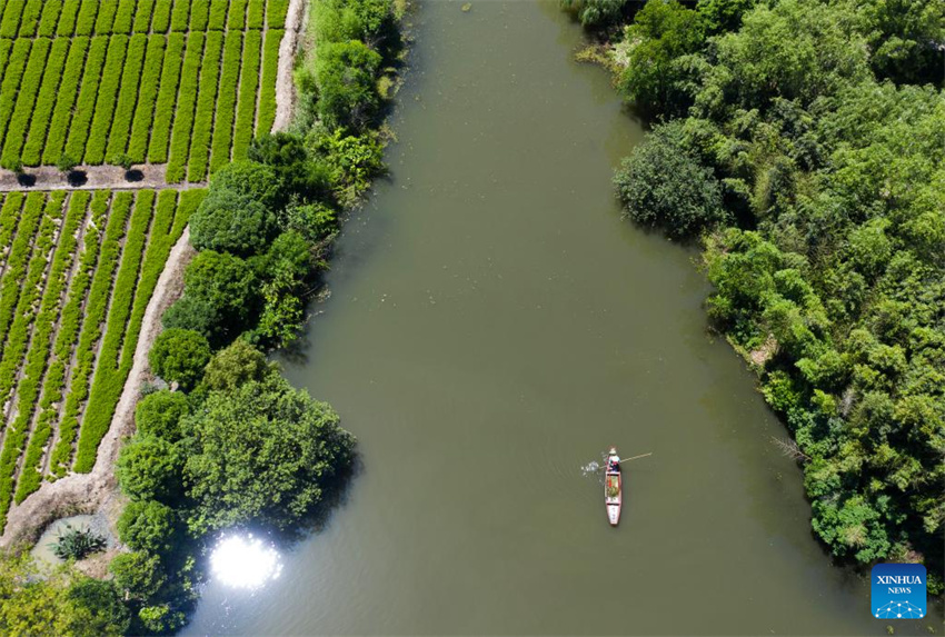 Parque nacional de zonas úmidas de Zhejiang realiza esforços para melhorar ambiente ecológico