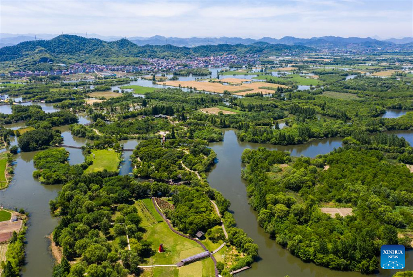 Parque nacional de zonas úmidas de Zhejiang realiza esforços para melhorar ambiente ecológico