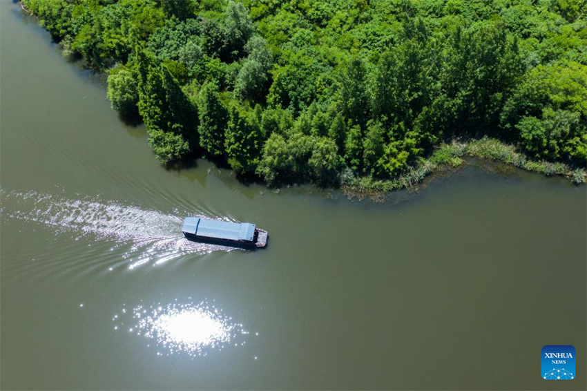 Parque nacional de zonas úmidas de Zhejiang realiza esforços para melhorar ambiente ecológico