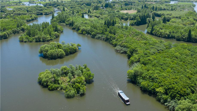 Parque nacional de zonas úmidas de Zhejiang realiza esforços para melhorar ambiente ecológico