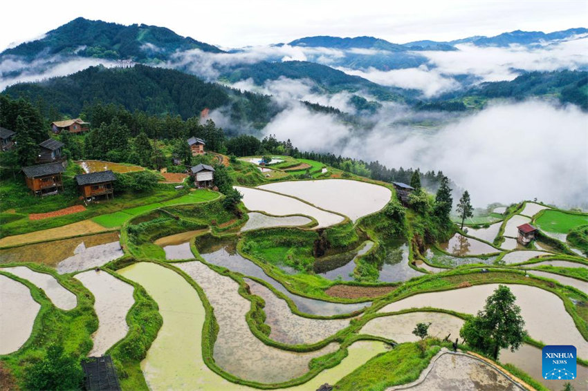 Vista aérea do terraço em Guizhou, no sudoeste da China