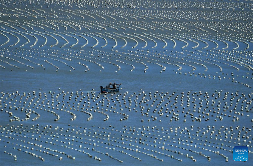 Fujian acelera desenvolvimento de maricultura