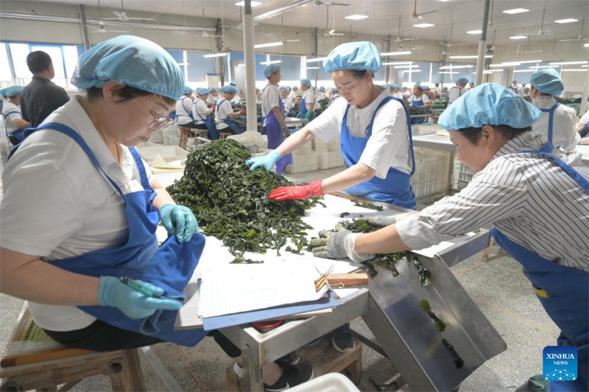 Fujian acelera desenvolvimento de maricultura