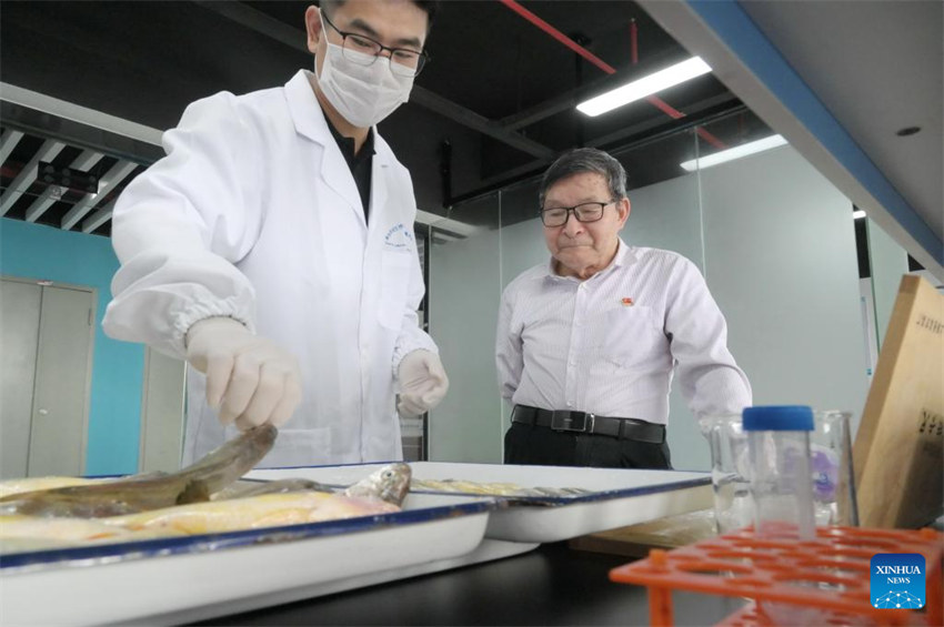 Fujian acelera desenvolvimento de maricultura