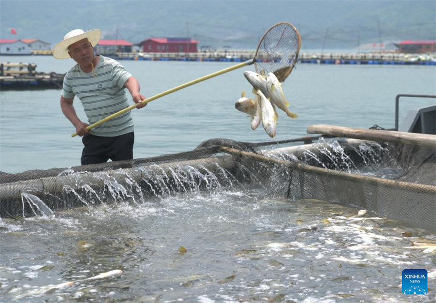 Fujian acelera desenvolvimento de maricultura