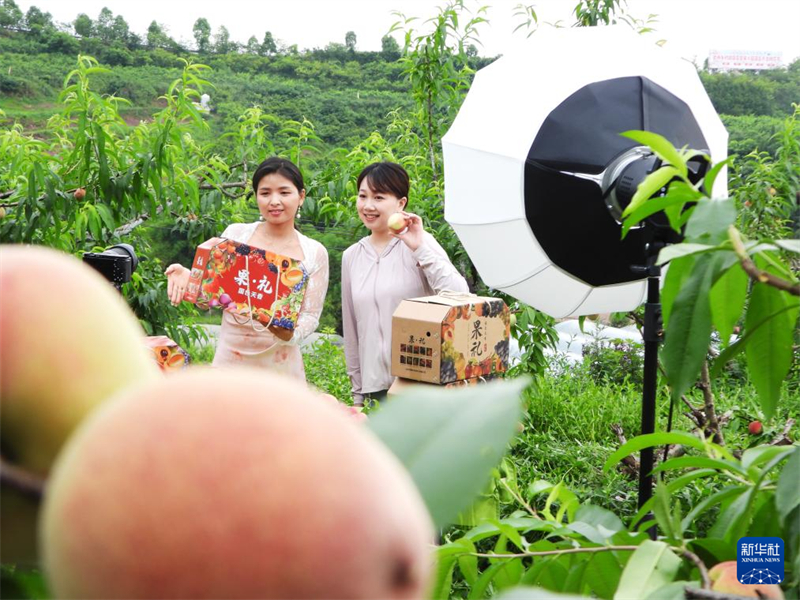 Desenvolvimento digital impulsiona revitalização rural em Dazhou, no sudoeste da China