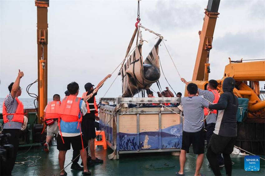 Baleia resgatada é libertada no sul da China