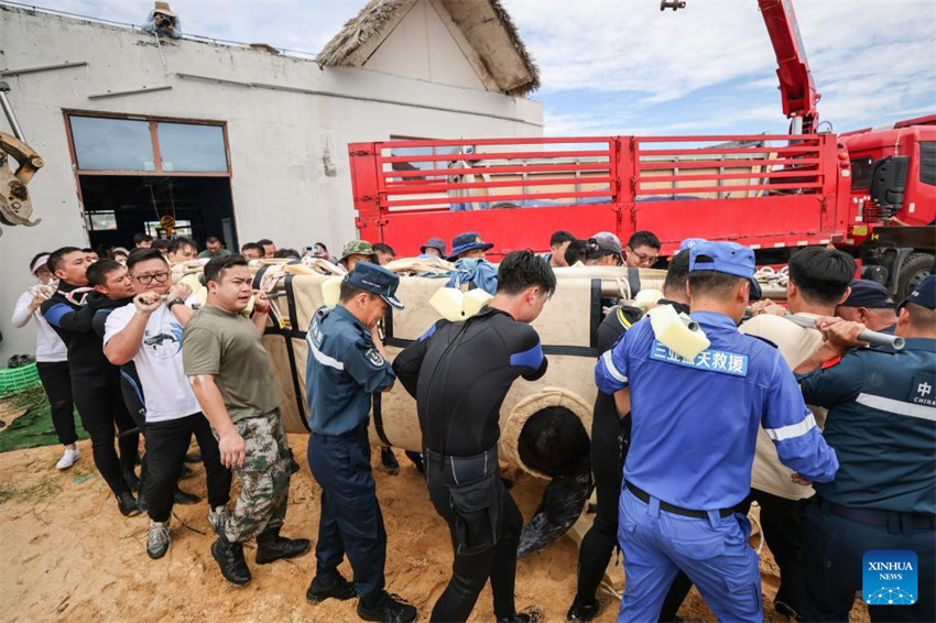 Baleia resgatada é libertada no sul da China