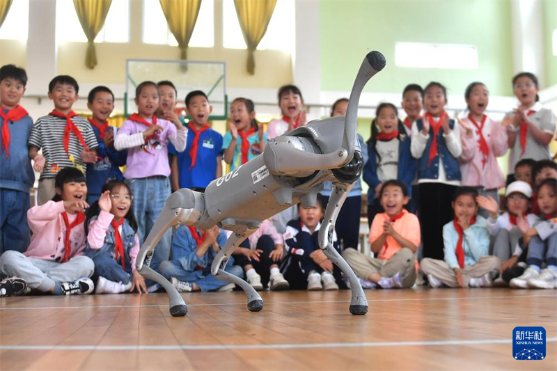 China realiza atividades infantis em todo o país para celebrar Dia Internacional da Criança