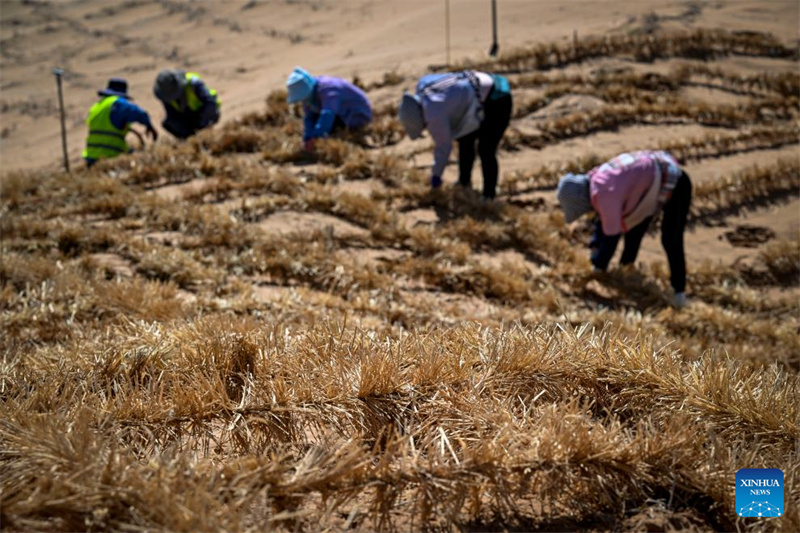 Ferramentas e tecnologias inovadoras contribuem para o controle de areia no noroeste da China