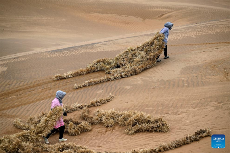 Ferramentas e tecnologias inovadoras contribuem para o controle de areia no noroeste da China