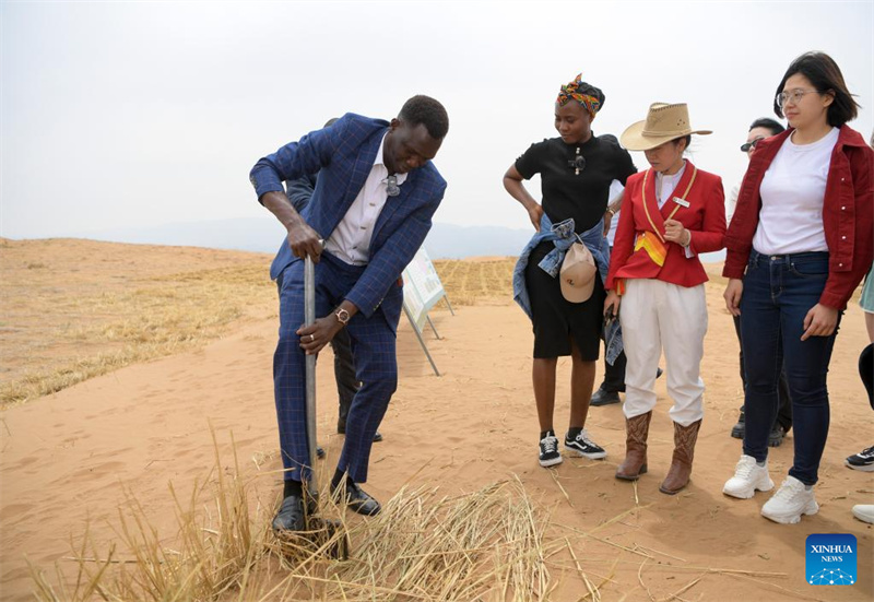 Ferramentas e tecnologias inovadoras contribuem para o controle de areia no noroeste da China